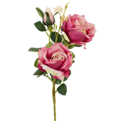 RÓŻA - Gałązka 2 kwiaty i pąk Peach Purple 63 cm